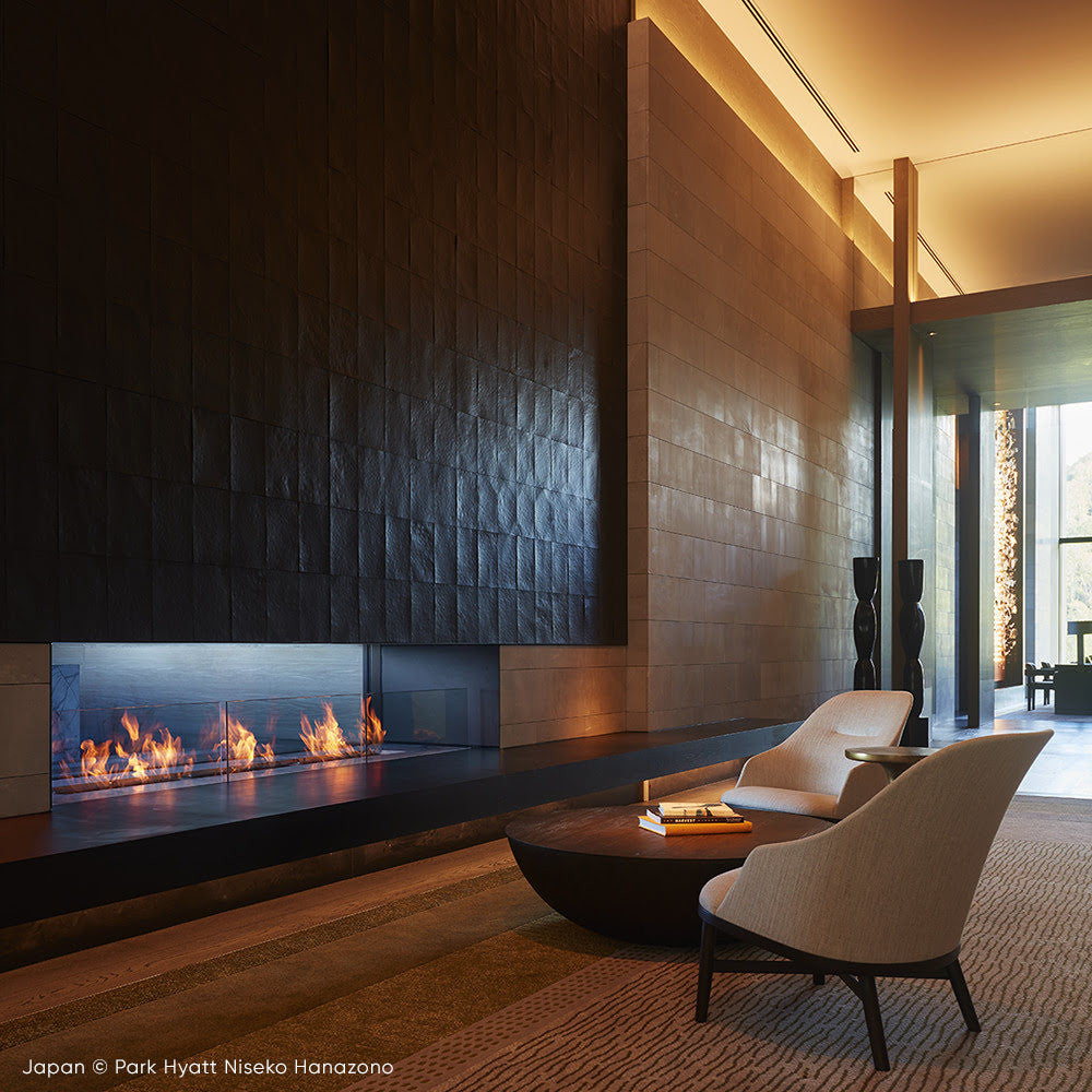 bio ethanol fireplace insert ecosmart