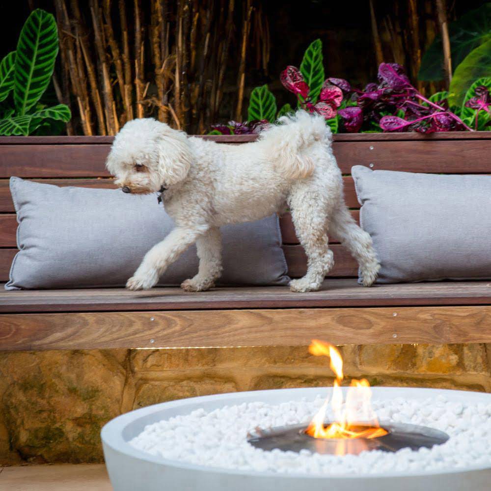 Mix 850 Ethanol Fire Pit Bowl Bone Close Up Dog